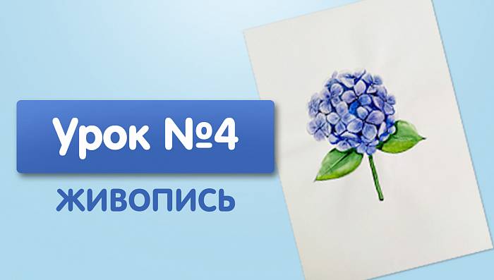 Урок №4. Гортензия