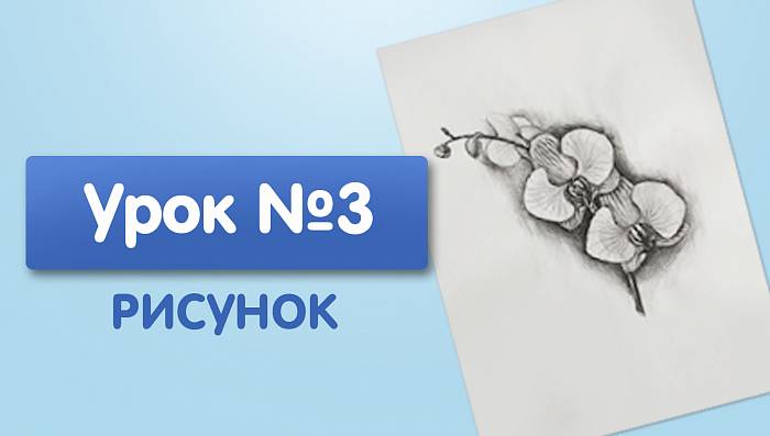 Урок №3. Орхидея