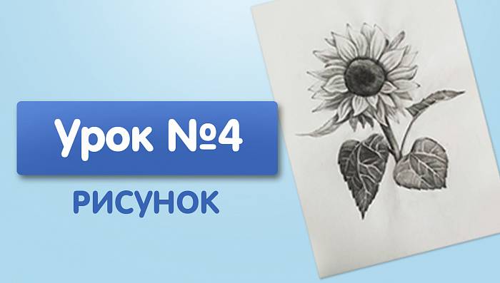 Урок №4. Подсолнух