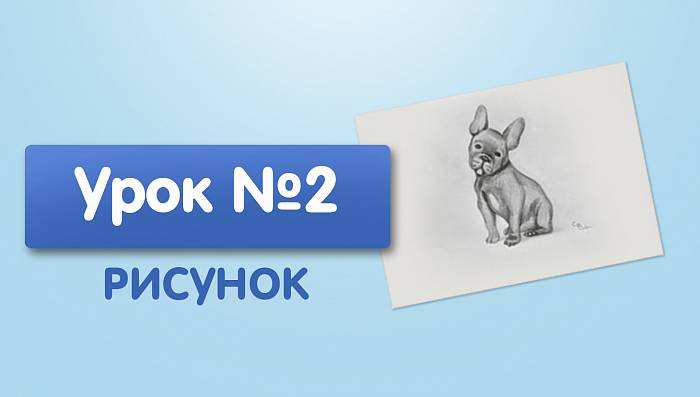 Урок №2. Собака