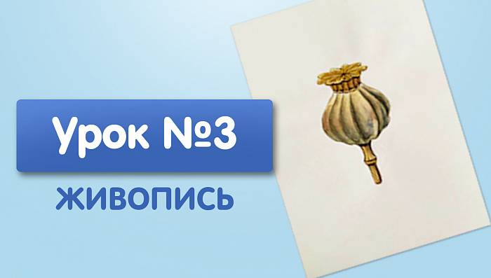 Урок №3. Коробочка мака