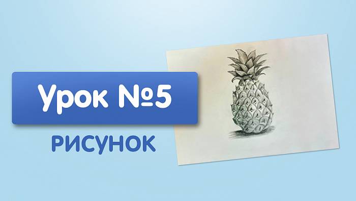 Урок №5. Ананс