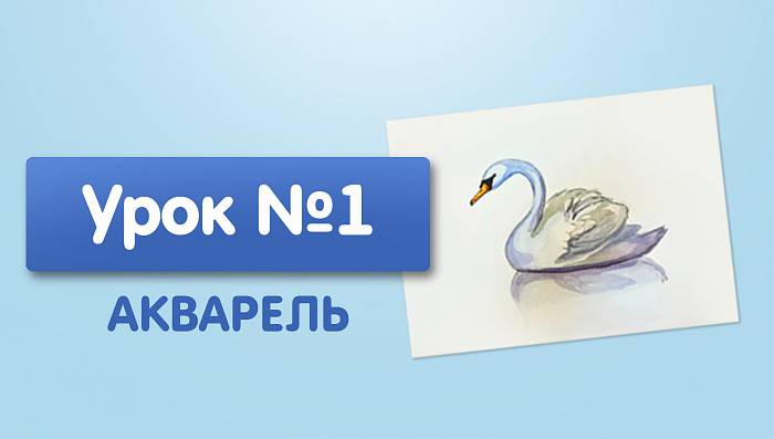 Урок №1. Лебедь - акварелью