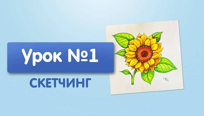 Урок №1. Подсолнух