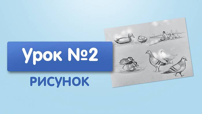 Урок №2. Наброски птиц и людей