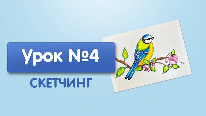 Урок №4. Синичка