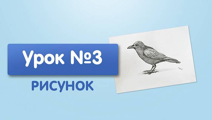 Урок №3. Ворона