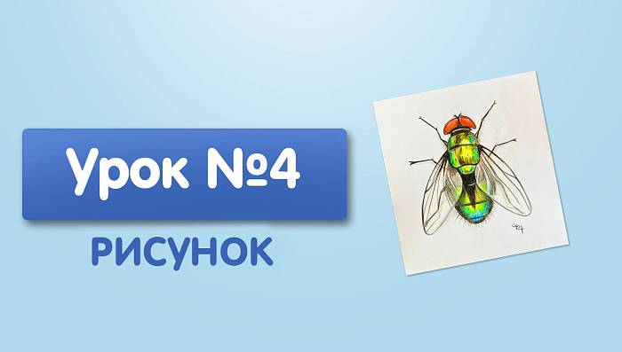 Урок №4. Муха