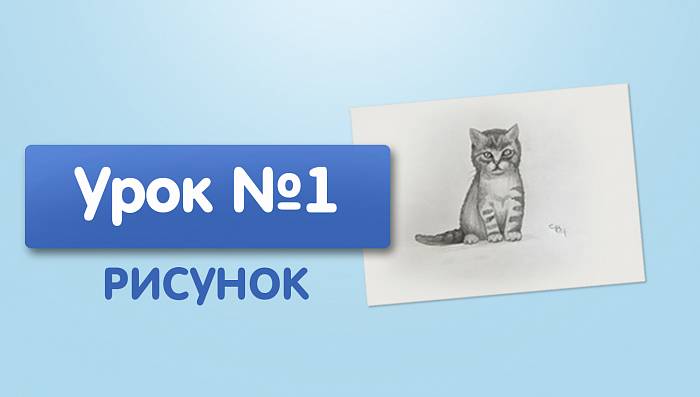 Урок №1. Кошка